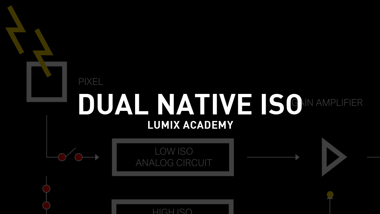 Dual Native ISO
